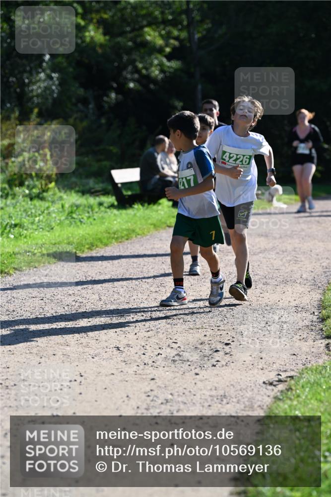 27.09.2026 - 35. Volkslauf durch das schöne Alstertal Dr. Thomas Lammeyer http://msf.ph/oto/10569136 27.09.2026 10:56:17 Laufen 217, 4226 meine-sportfotos.de