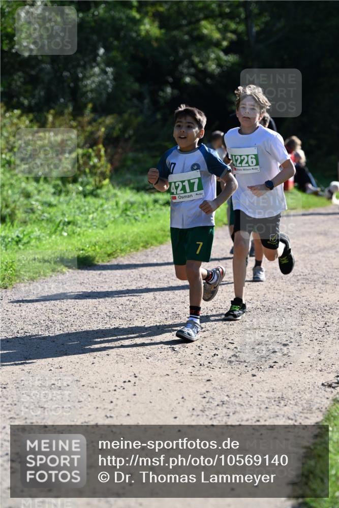 27.09.2026 - 35. Volkslauf durch das schöne Alstertal Dr. Thomas Lammeyer http://msf.ph/oto/10569140 27.09.2026 10:56:17 Laufen 7, 4217, 7, 1226 meine-sportfotos.de