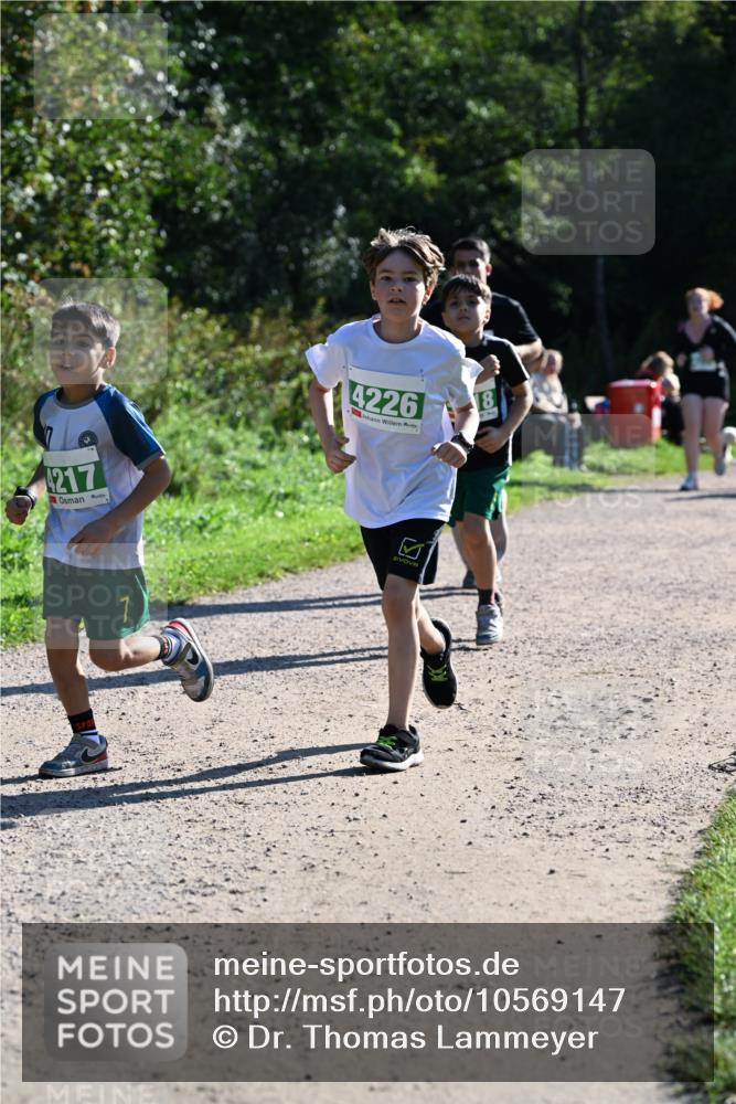 27.09.2026 - 35. Volkslauf durch das schöne Alstertal Dr. Thomas Lammeyer http://msf.ph/oto/10569147 27.09.2026 10:56:18 Laufen 4217, 7, 4226 meine-sportfotos.de