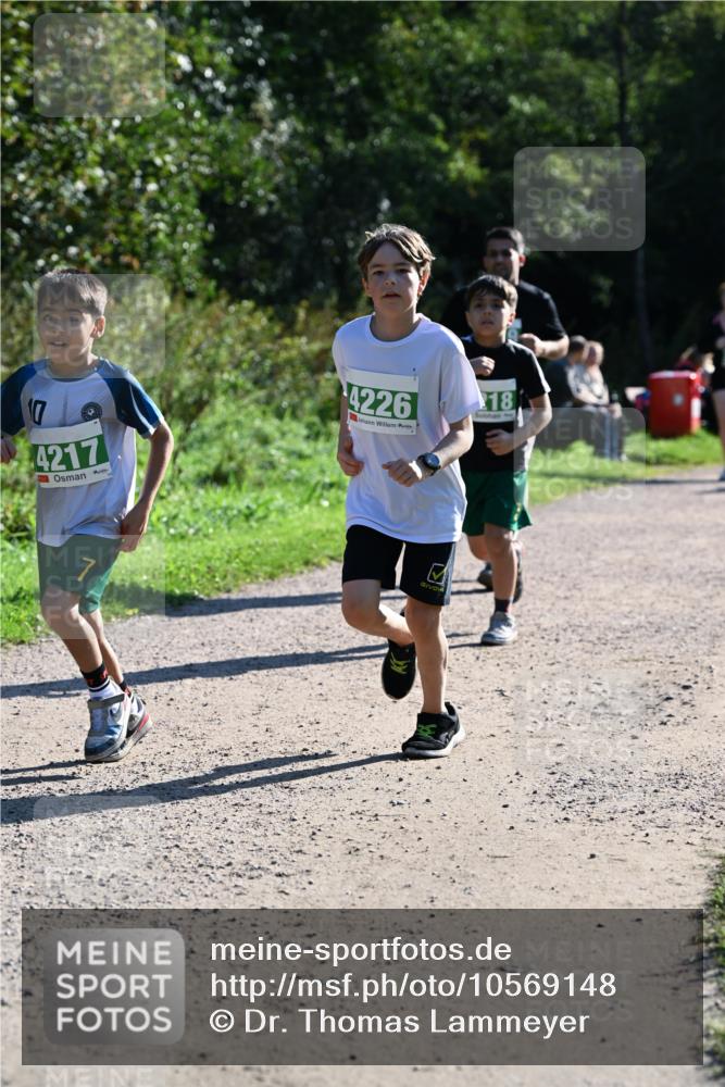 27.09.2026 - 35. Volkslauf durch das schöne Alstertal Dr. Thomas Lammeyer http://msf.ph/oto/10569148 27.09.2026 10:56:18 Laufen 17, 4217, 4226, 18 meine-sportfotos.de