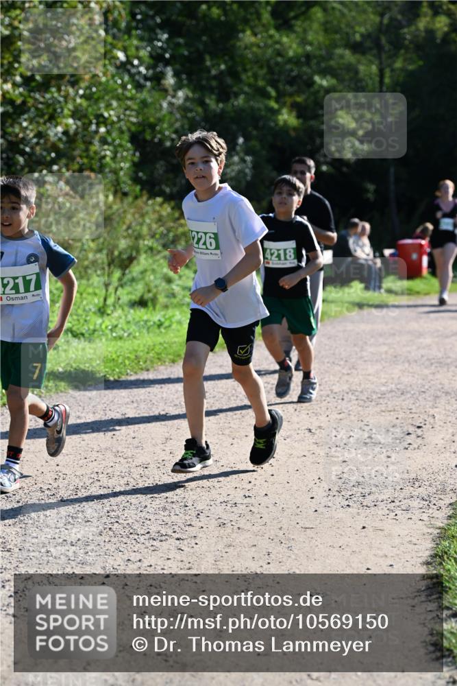 27.09.2026 - 35. Volkslauf durch das schöne Alstertal Dr. Thomas Lammeyer http://msf.ph/oto/10569150 27.09.2026 10:56:19 Laufen 217, 7, 226, 4218 meine-sportfotos.de