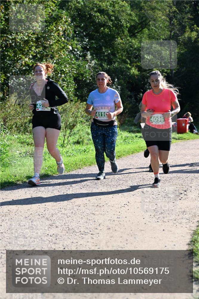 27.09.2026 - 35. Volkslauf durch das schöne Alstertal Dr. Thomas Lammeyer http://msf.ph/oto/10569175 27.09.2026 10:56:24 Laufen 42, 4116, 4096 meine-sportfotos.de