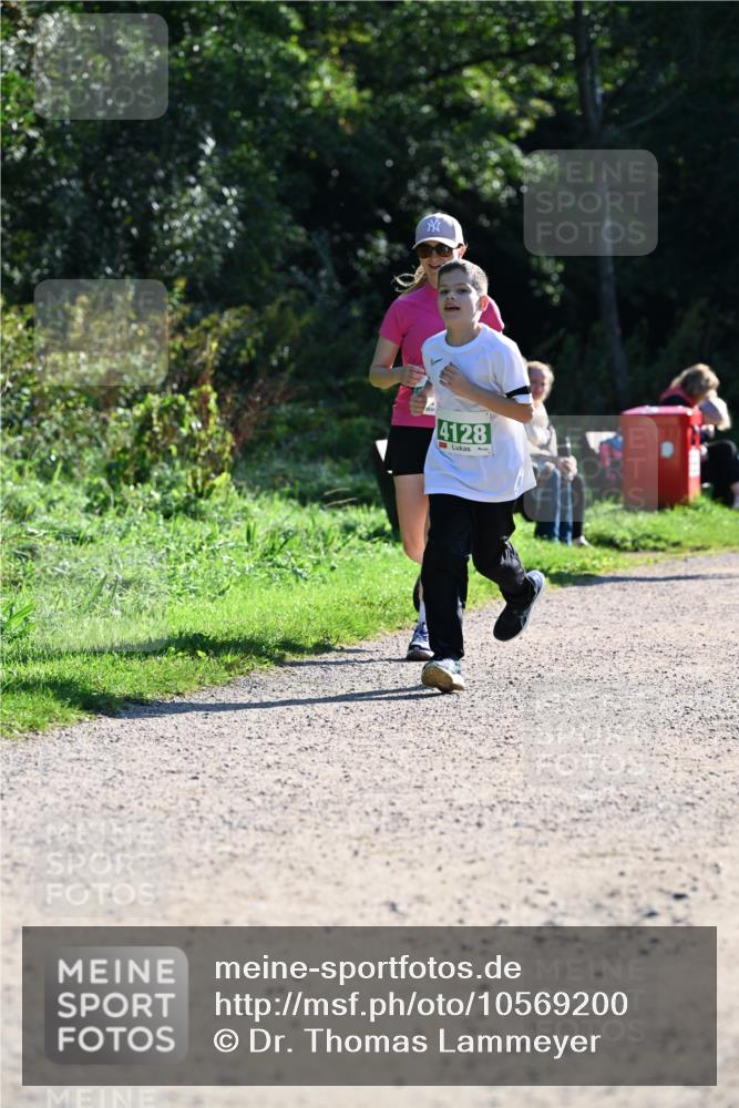 27.09.2026 - 35. Volkslauf durch das schöne Alstertal Dr. Thomas Lammeyer http://msf.ph/oto/10569200 27.09.2026 10:56:30 Laufen 4128 meine-sportfotos.de