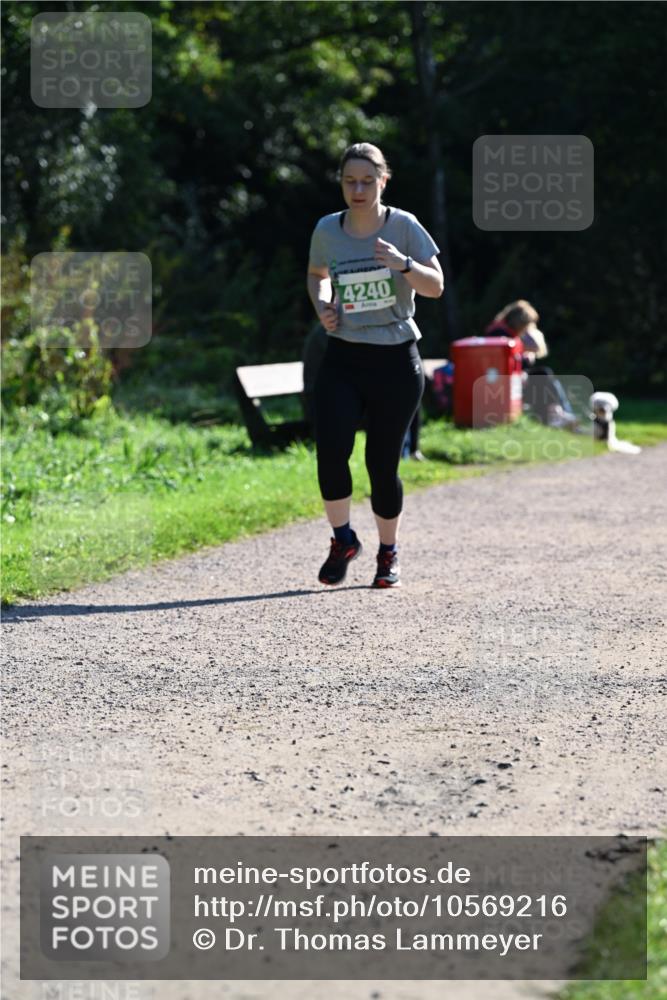 27.09.2026 - 35. Volkslauf durch das schöne Alstertal Dr. Thomas Lammeyer http://msf.ph/oto/10569216 27.09.2026 10:56:34 Laufen 4240 meine-sportfotos.de