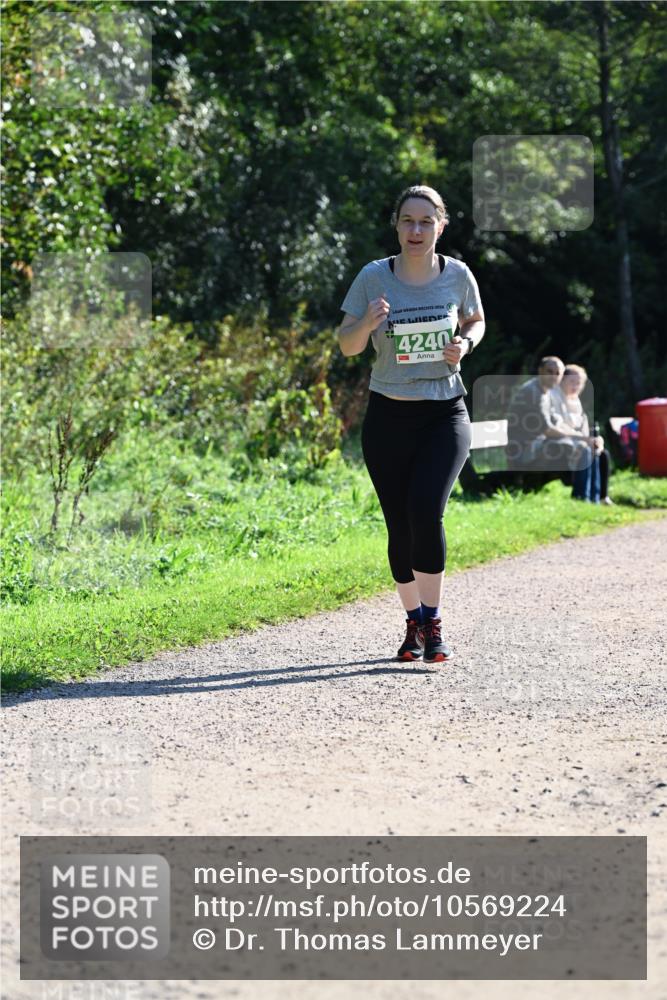27.09.2026 - 35. Volkslauf durch das schöne Alstertal Dr. Thomas Lammeyer http://msf.ph/oto/10569224 27.09.2026 10:56:35 Laufen 2026, 4240 meine-sportfotos.de