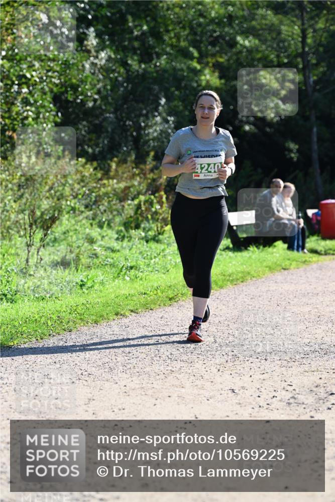 27.09.2026 - 35. Volkslauf durch das schöne Alstertal Dr. Thomas Lammeyer http://msf.ph/oto/10569225 27.09.2026 10:56:35 Laufen 2026, 4240 meine-sportfotos.de