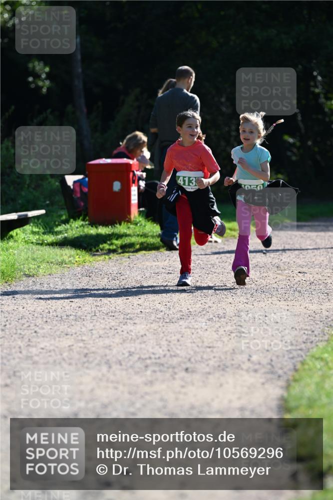 27.09.2026 - 35. Volkslauf durch das schöne Alstertal Dr. Thomas Lammeyer http://msf.ph/oto/10569296 27.09.2026 10:57:21 Laufen 413 meine-sportfotos.de