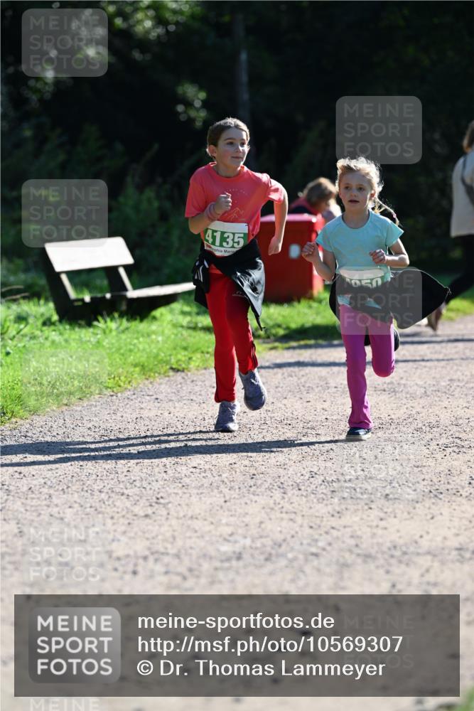 27.09.2026 - 35. Volkslauf durch das schöne Alstertal Dr. Thomas Lammeyer http://msf.ph/oto/10569307 27.09.2026 10:57:22 Laufen 4135 meine-sportfotos.de