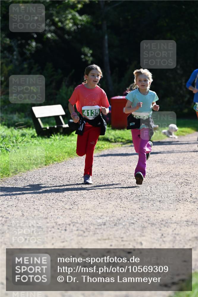 27.09.2026 - 35. Volkslauf durch das schöne Alstertal Dr. Thomas Lammeyer http://msf.ph/oto/10569309 27.09.2026 10:57:23 Laufen 4135 meine-sportfotos.de