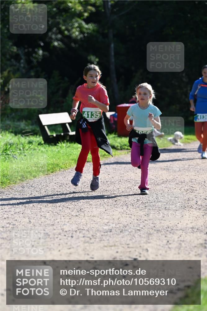 27.09.2026 - 35. Volkslauf durch das schöne Alstertal Dr. Thomas Lammeyer http://msf.ph/oto/10569310 27.09.2026 10:57:23 Laufen 4135, 413 meine-sportfotos.de