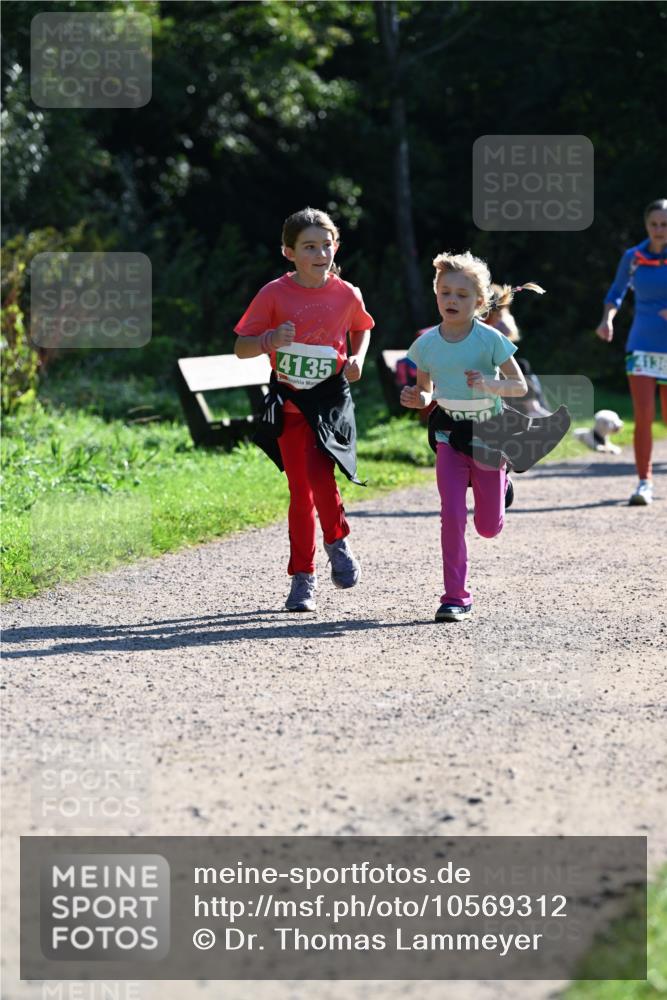 27.09.2026 - 35. Volkslauf durch das schöne Alstertal Dr. Thomas Lammeyer http://msf.ph/oto/10569312 27.09.2026 10:57:23 Laufen 4135, 14136 meine-sportfotos.de