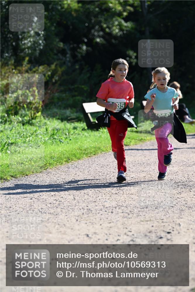 27.09.2026 - 35. Volkslauf durch das schöne Alstertal Dr. Thomas Lammeyer http://msf.ph/oto/10569313 27.09.2026 10:57:23 Laufen 35, 900 meine-sportfotos.de