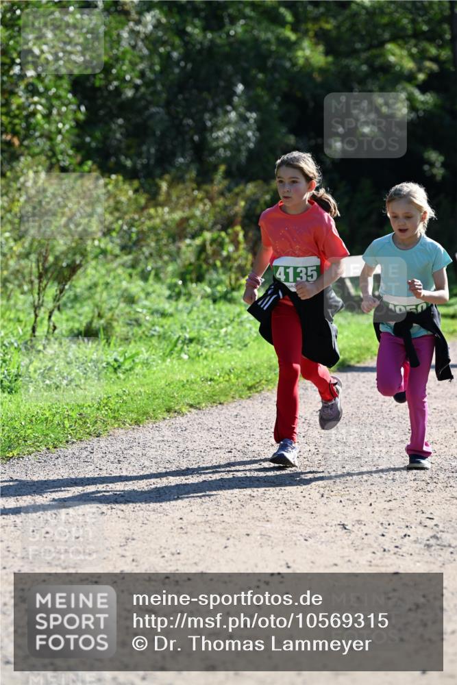 27.09.2026 - 35. Volkslauf durch das schöne Alstertal Dr. Thomas Lammeyer http://msf.ph/oto/10569315 27.09.2026 10:57:24 Laufen 4135 meine-sportfotos.de