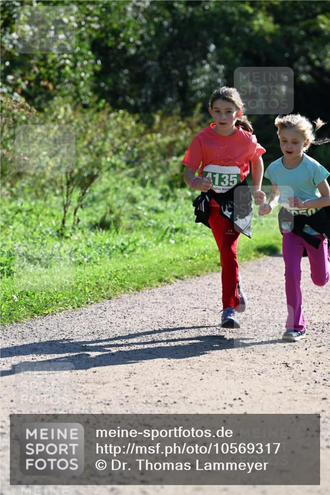 27.09.2026 - 35. Volkslauf durch das schöne Alstertal Dr. Thomas Lammeyer http://msf.ph/oto/10569317 27.09.2026 10:57:24 Laufen 4135 meine-sportfotos.de