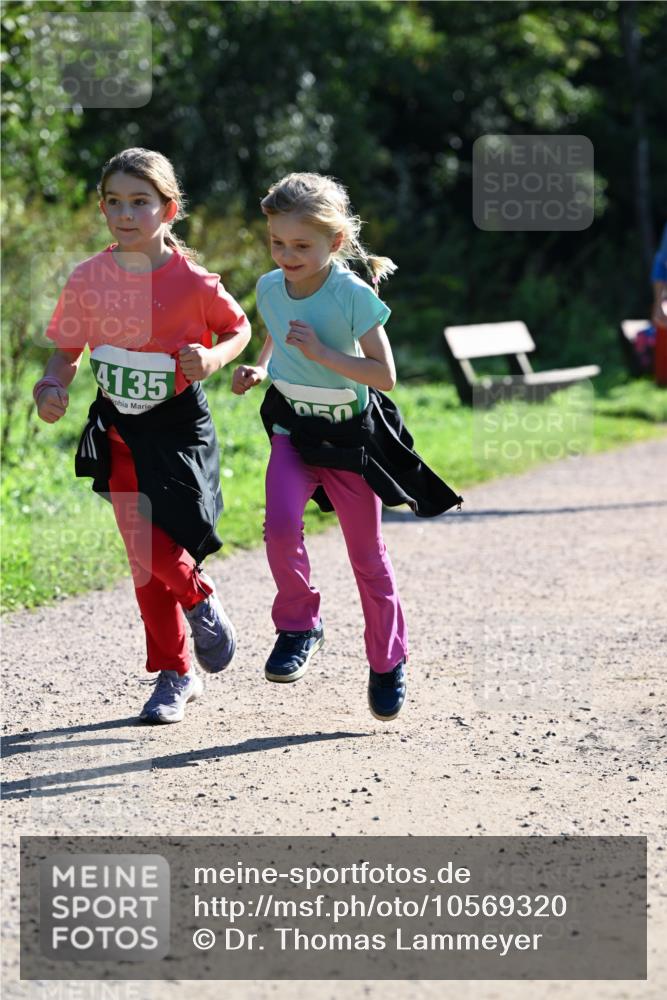 27.09.2026 - 35. Volkslauf durch das schöne Alstertal Dr. Thomas Lammeyer http://msf.ph/oto/10569320 27.09.2026 10:57:25 Laufen 4135 meine-sportfotos.de