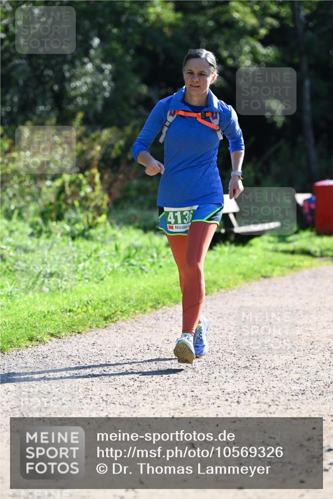 27.09.2026 - 35. Volkslauf durch das schöne Alstertal Dr. Thomas Lammeyer http://msf.ph/oto/10569326 27.09.2026 10:57:27 Laufen 4132 meine-sportfotos.de