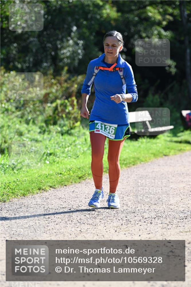 27.09.2026 - 35. Volkslauf durch das schöne Alstertal Dr. Thomas Lammeyer http://msf.ph/oto/10569328 27.09.2026 10:57:27 Laufen 4136 meine-sportfotos.de