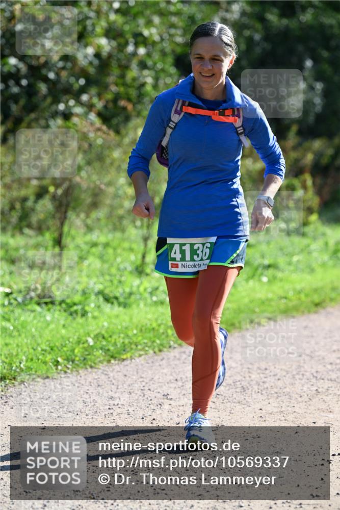 27.09.2026 - 35. Volkslauf durch das schöne Alstertal Dr. Thomas Lammeyer http://msf.ph/oto/10569337 27.09.2026 10:57:28 Laufen 4136 meine-sportfotos.de