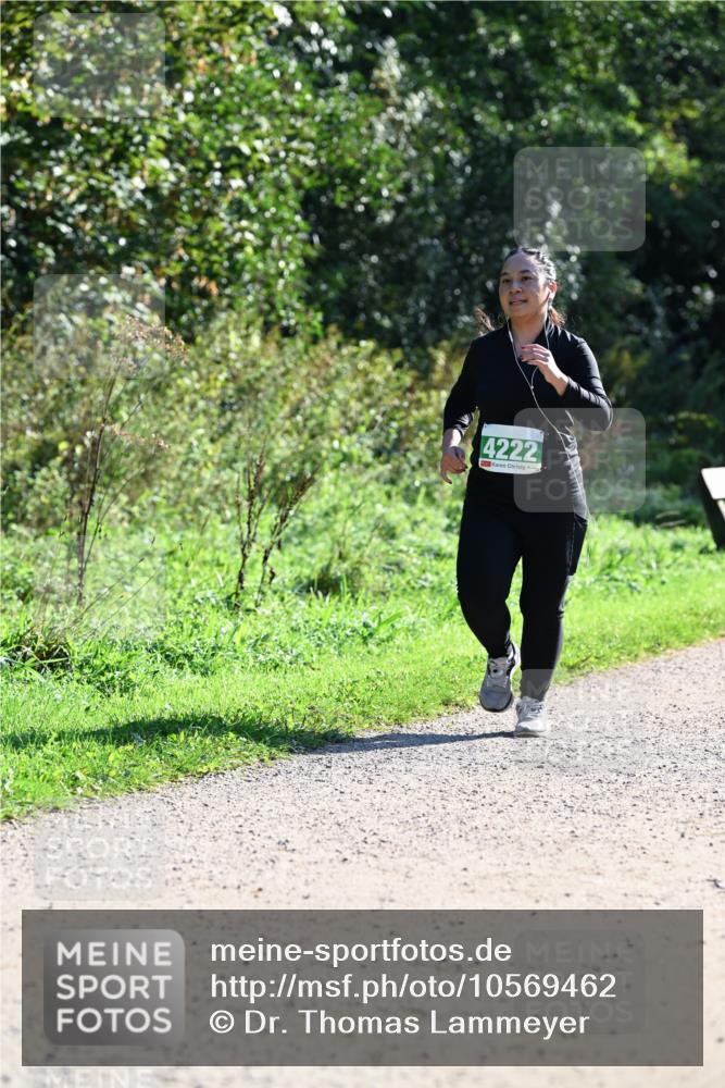 27.09.2026 - 35. Volkslauf durch das schöne Alstertal Dr. Thomas Lammeyer http://msf.ph/oto/10569462 27.09.2026 10:57:59 Laufen 4222 meine-sportfotos.de