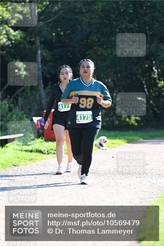 27.09.2026 - 35. Volkslauf durch das schöne Alstertal Dr. Thomas Lammeyer http://msf.ph/oto/10569479 27.09.2026 10:58:03 Laufen 4177, 98, 4175 meine-sportfotos.de