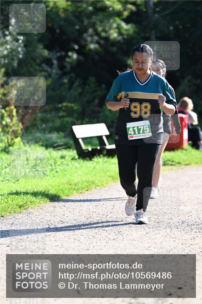 27.09.2026 - 35. Volkslauf durch das schöne Alstertal Dr. Thomas Lammeyer http://msf.ph/oto/10569486 27.09.2026 10:58:05 Laufen 98, 4175 meine-sportfotos.de