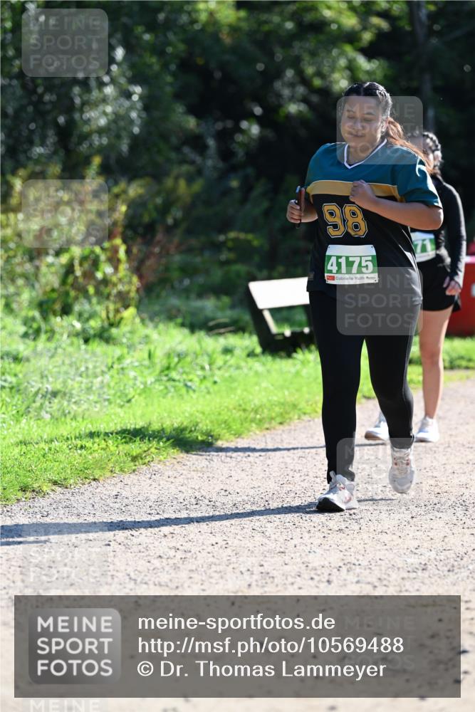 27.09.2026 - 35. Volkslauf durch das schöne Alstertal Dr. Thomas Lammeyer http://msf.ph/oto/10569488 27.09.2026 10:58:05 Laufen 98, 4175, 71 meine-sportfotos.de