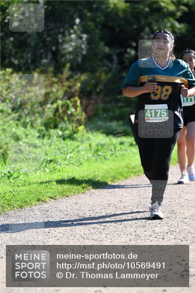 27.09.2026 - 35. Volkslauf durch das schöne Alstertal Dr. Thomas Lammeyer http://msf.ph/oto/10569491 27.09.2026 10:58:06 Laufen 38, 4175 meine-sportfotos.de