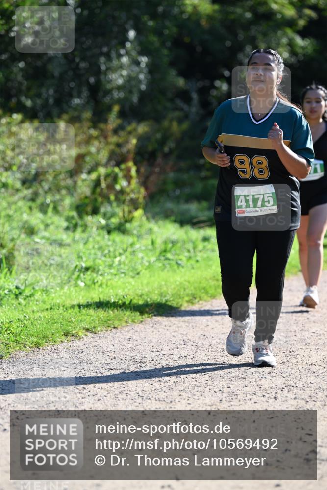 27.09.2026 - 35. Volkslauf durch das schöne Alstertal Dr. Thomas Lammeyer http://msf.ph/oto/10569492 27.09.2026 10:58:06 Laufen 1198, 98, 4175 meine-sportfotos.de