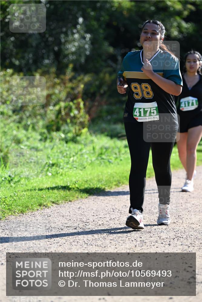 27.09.2026 - 35. Volkslauf durch das schöne Alstertal Dr. Thomas Lammeyer http://msf.ph/oto/10569493 27.09.2026 10:58:06 Laufen 98, 4175, 4171 meine-sportfotos.de