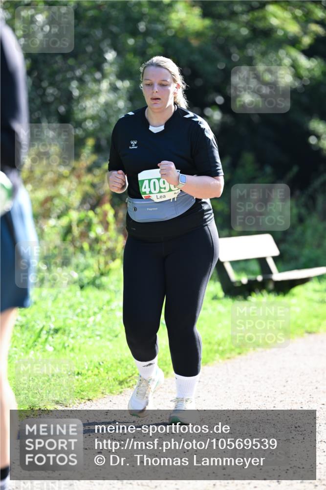 27.09.2026 - 35. Volkslauf durch das schöne Alstertal Dr. Thomas Lammeyer http://msf.ph/oto/10569539 27.09.2026 10:58:23 Laufen 409 meine-sportfotos.de