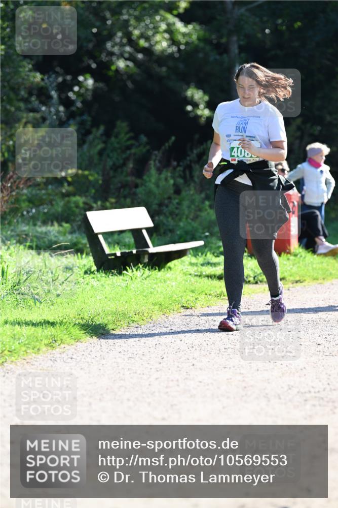 27.09.2026 - 35. Volkslauf durch das schöne Alstertal Dr. Thomas Lammeyer http://msf.ph/oto/10569553 27.09.2026 10:58:27 Laufen 2025, 406 meine-sportfotos.de