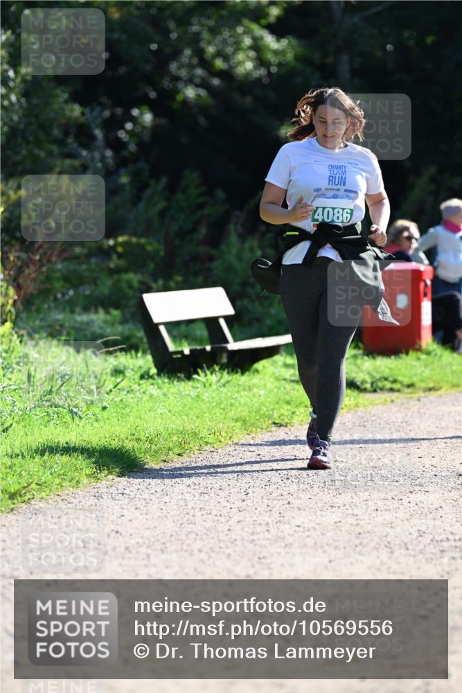 27.09.2026 - 35. Volkslauf durch das schöne Alstertal Dr. Thomas Lammeyer http://msf.ph/oto/10569556 27.09.2026 10:58:28 Laufen 4086 meine-sportfotos.de