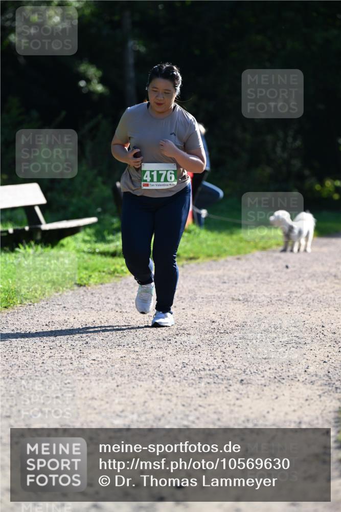 27.09.2026 - 35. Volkslauf durch das schöne Alstertal Dr. Thomas Lammeyer http://msf.ph/oto/10569630 27.09.2026 10:59:08 Laufen 4176 meine-sportfotos.de