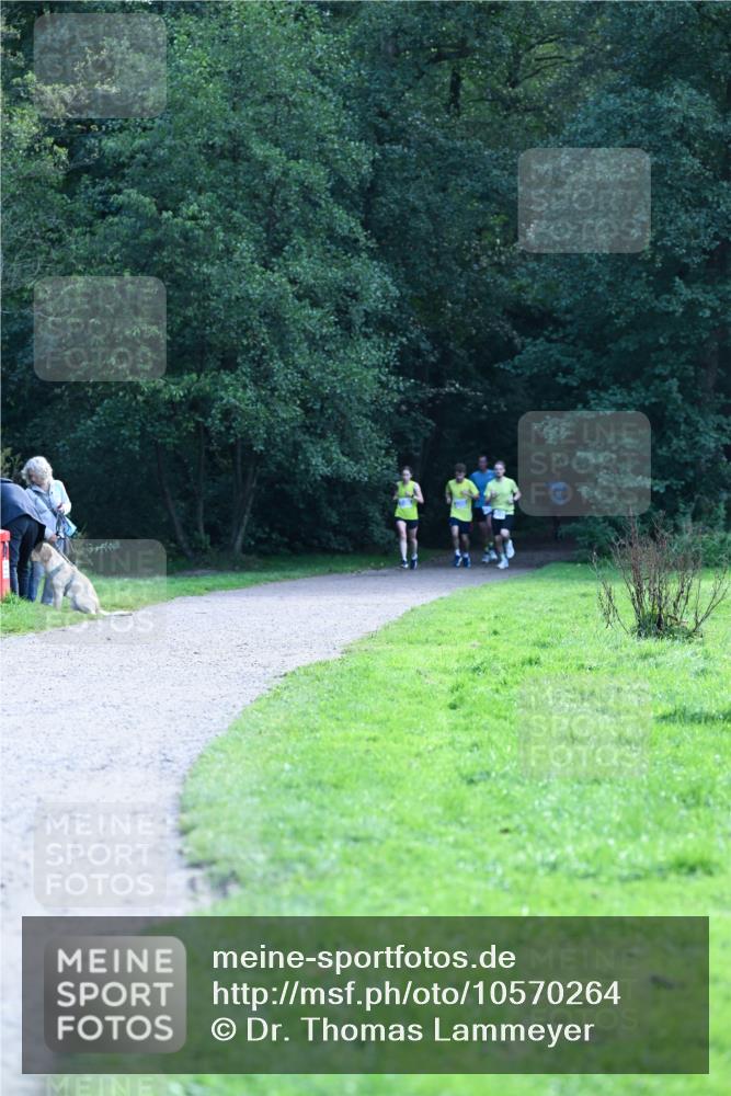 27.09.2026 - 35. Volkslauf durch das schöne Alstertal Dr. Thomas Lammeyer http://msf.ph/oto/10570264 27.09.2026 11:11:13 Laufen  meine-sportfotos.de