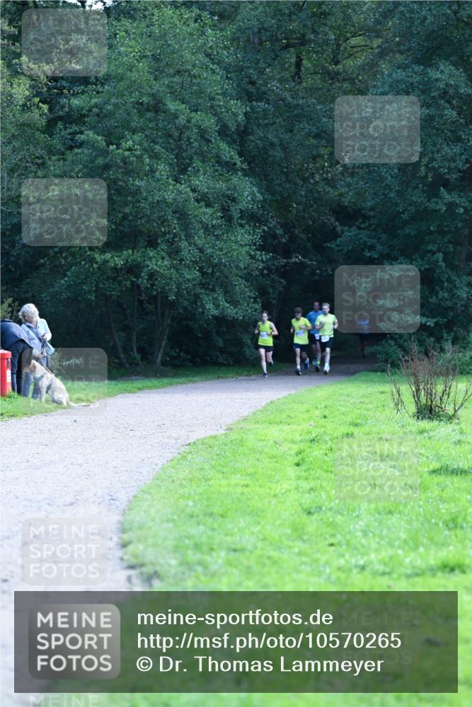 27.09.2026 - 35. Volkslauf durch das schöne Alstertal Dr. Thomas Lammeyer http://msf.ph/oto/10570265 27.09.2026 11:11:13 Laufen  meine-sportfotos.de