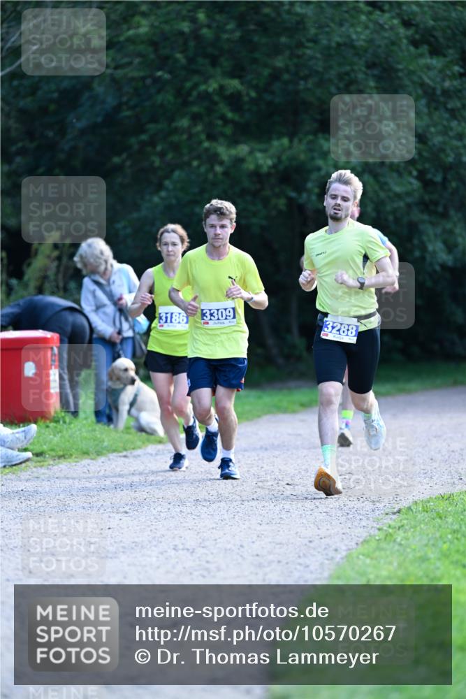 27.09.2026 - 35. Volkslauf durch das schöne Alstertal Dr. Thomas Lammeyer http://msf.ph/oto/10570267 27.09.2026 11:11:20 Laufen 3186, 3309, 3288 meine-sportfotos.de