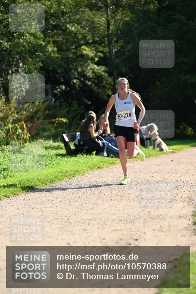 27.09.2026 - 35. Volkslauf durch das schöne Alstertal Dr. Thomas Lammeyer http://msf.ph/oto/10570388 27.09.2026 11:12:49 Laufen 3991 meine-sportfotos.de