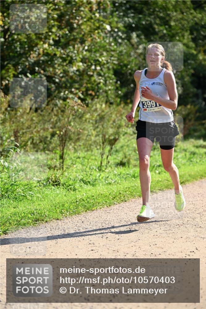 27.09.2026 - 35. Volkslauf durch das schöne Alstertal Dr. Thomas Lammeyer http://msf.ph/oto/10570403 27.09.2026 11:12:51 Laufen 399 meine-sportfotos.de