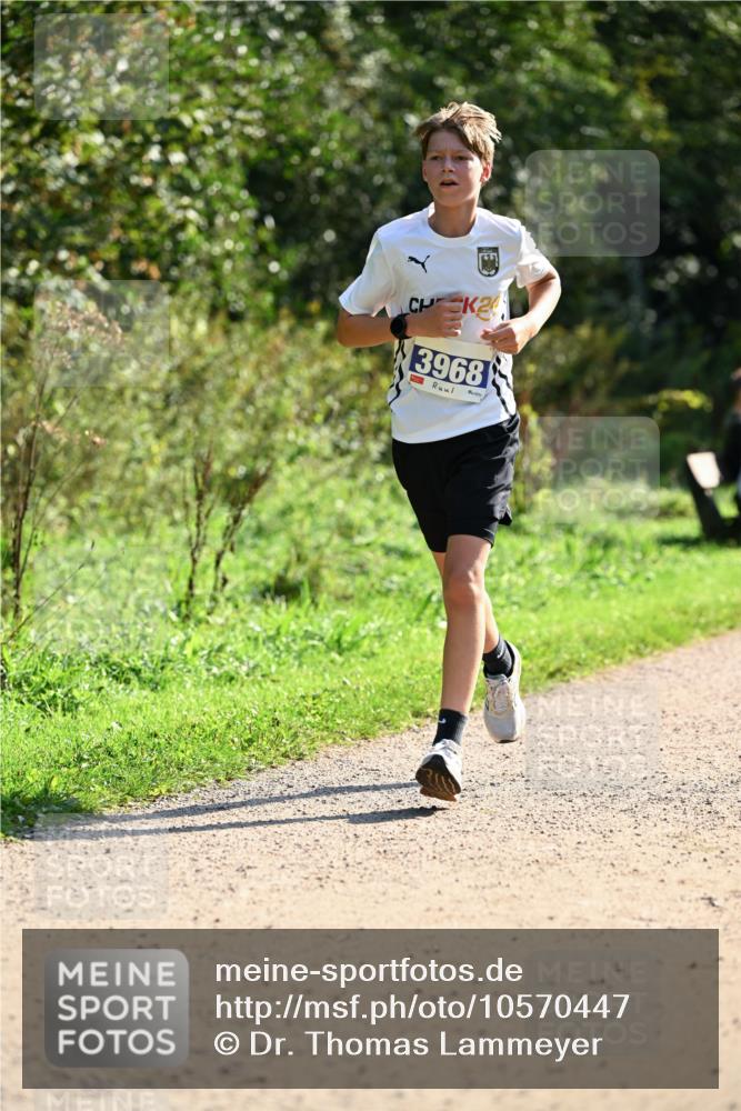27.09.2026 - 35. Volkslauf durch das schöne Alstertal Dr. Thomas Lammeyer http://msf.ph/oto/10570447 27.09.2026 11:13:20 Laufen 24, 3968 meine-sportfotos.de