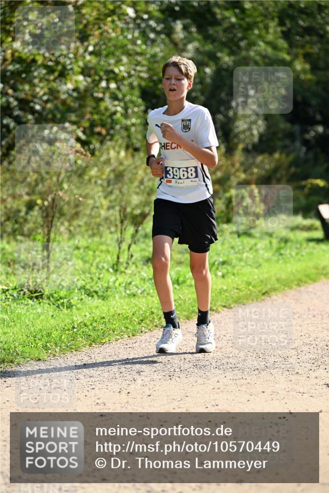 27.09.2026 - 35. Volkslauf durch das schöne Alstertal Dr. Thomas Lammeyer http://msf.ph/oto/10570449 27.09.2026 11:13:20 Laufen 3968 meine-sportfotos.de