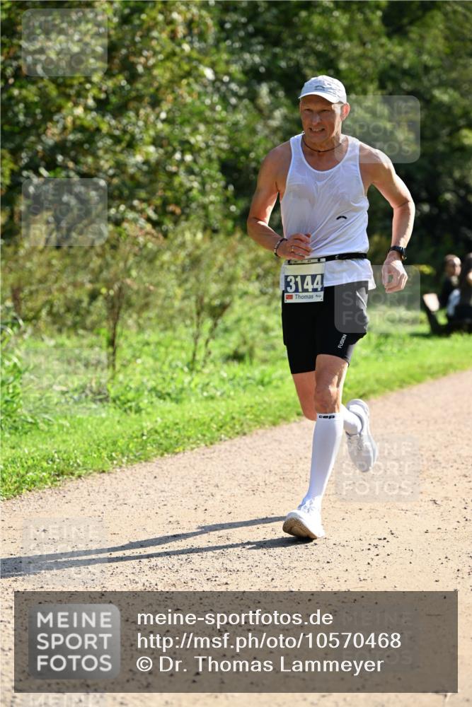 27.09.2026 - 35. Volkslauf durch das schöne Alstertal Dr. Thomas Lammeyer http://msf.ph/oto/10570468 27.09.2026 11:13:25 Laufen 3144 meine-sportfotos.de