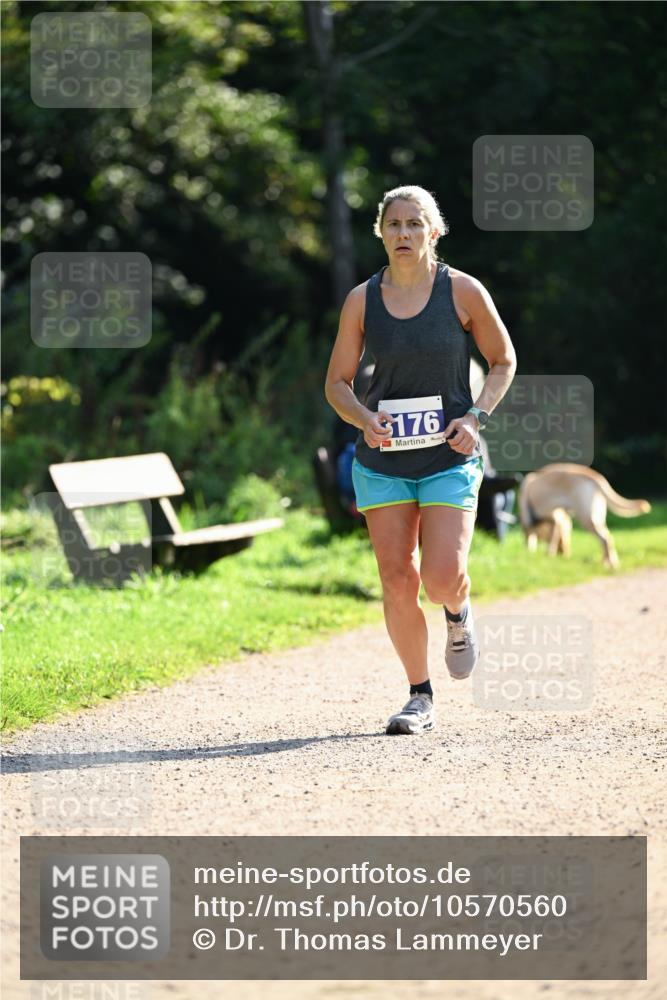 27.09.2026 - 35. Volkslauf durch das schöne Alstertal Dr. Thomas Lammeyer http://msf.ph/oto/10570560 27.09.2026 11:14:13 Laufen 176 meine-sportfotos.de