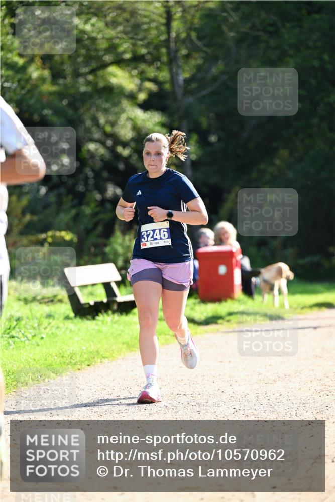 27.09.2026 - 35. Volkslauf durch das schöne Alstertal Dr. Thomas Lammeyer http://msf.ph/oto/10570962 27.09.2026 11:16:30 Laufen 3246 meine-sportfotos.de