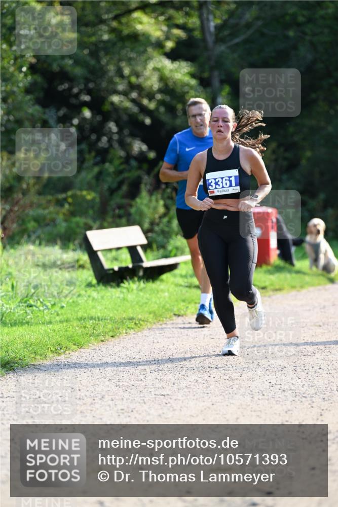 27.09.2026 - 35. Volkslauf durch das schöne Alstertal Dr. Thomas Lammeyer http://msf.ph/oto/10571393 27.09.2026 11:18:47 Laufen 3361 meine-sportfotos.de