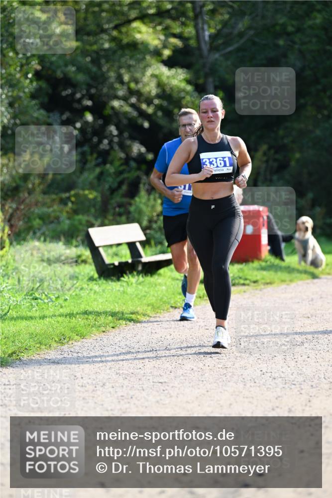 27.09.2026 - 35. Volkslauf durch das schöne Alstertal Dr. Thomas Lammeyer http://msf.ph/oto/10571395 27.09.2026 11:18:47 Laufen 3361 meine-sportfotos.de