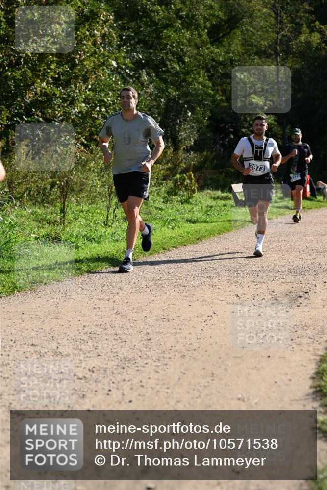 27.09.2026 - 35. Volkslauf durch das schöne Alstertal Dr. Thomas Lammeyer http://msf.ph/oto/10571538 27.09.2026 11:19:26 Laufen 3973 meine-sportfotos.de