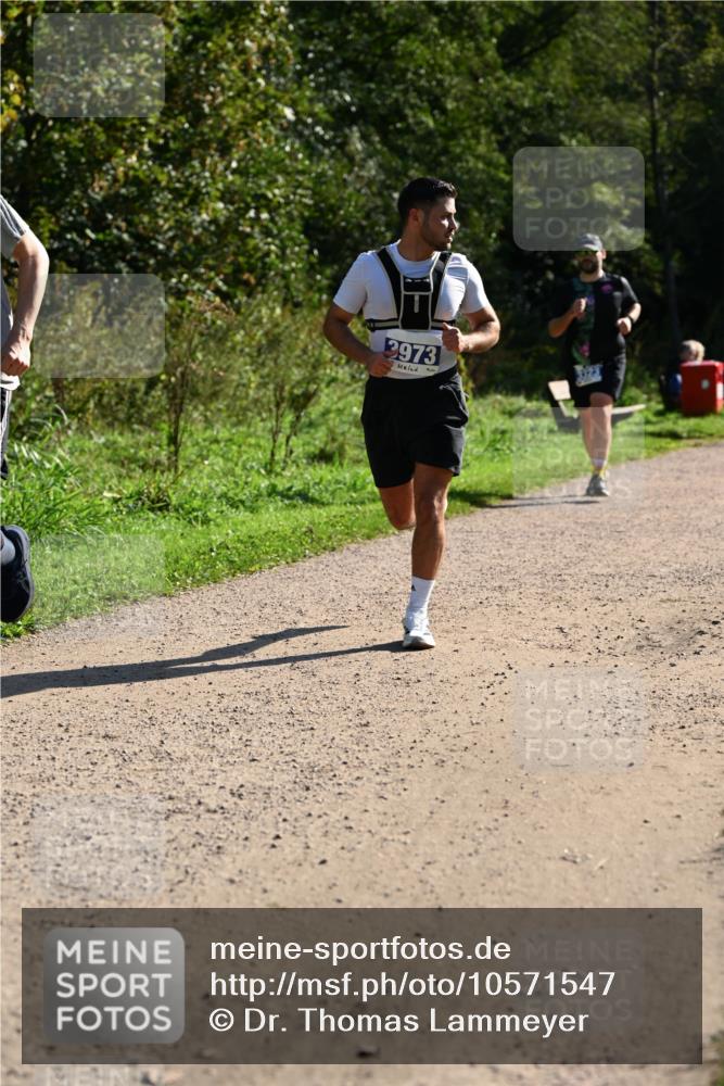 27.09.2026 - 35. Volkslauf durch das schöne Alstertal Dr. Thomas Lammeyer http://msf.ph/oto/10571547 27.09.2026 11:19:27 Laufen 3973 meine-sportfotos.de