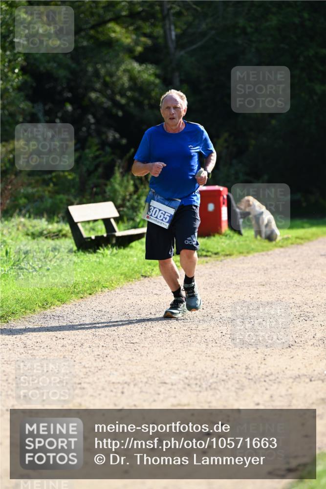 27.09.2026 - 35. Volkslauf durch das schöne Alstertal Dr. Thomas Lammeyer http://msf.ph/oto/10571663 27.09.2026 11:19:59 Laufen 3065 meine-sportfotos.de