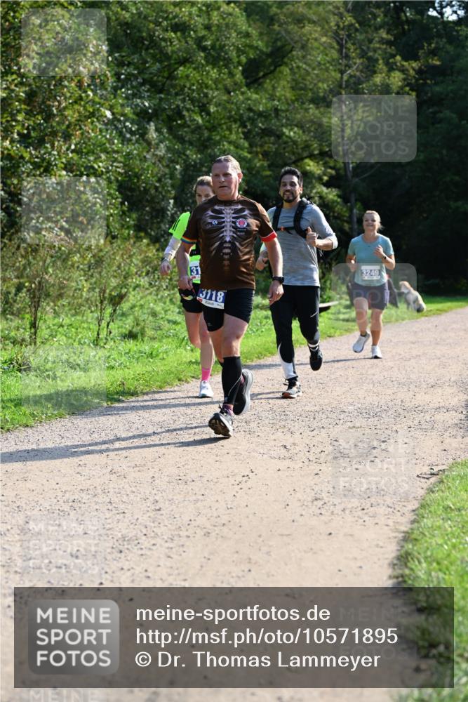 27.09.2026 - 35. Volkslauf durch das schöne Alstertal Dr. Thomas Lammeyer http://msf.ph/oto/10571895 27.09.2026 11:21:08 Laufen 31, 3118, 3249 meine-sportfotos.de