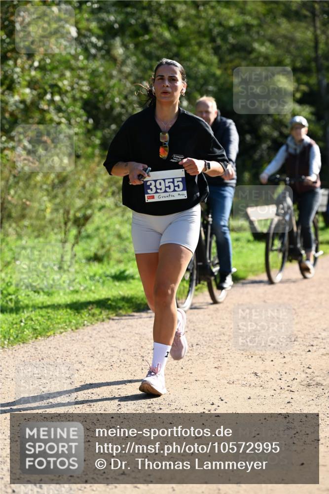 27.09.2026 - 35. Volkslauf durch das schöne Alstertal Dr. Thomas Lammeyer http://msf.ph/oto/10572995 27.09.2026 11:25:56 Laufen 3955 meine-sportfotos.de